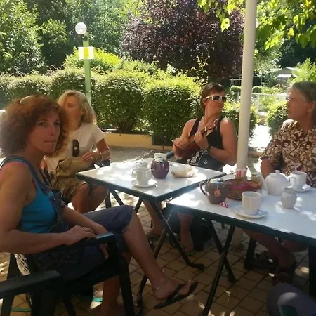 Zecamping 3 Animaux Acceptes Snack Bar Et Restaurant Alpehytte