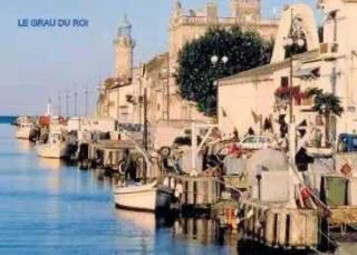 Zecamping 3 Animaux Acceptes Snack Bar Et Restaurant *