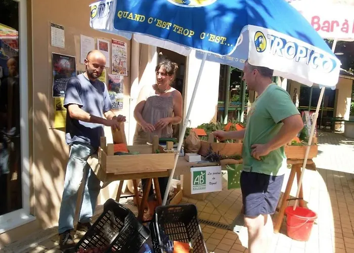 Zecamping 3 Animaux Acceptes Snack Bar Et Restaurant
